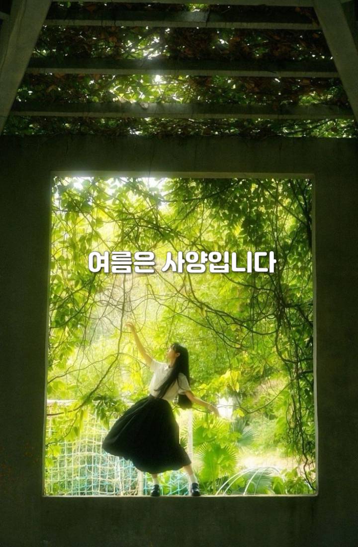 여름은 사양입니다