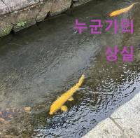 누군가의 상실