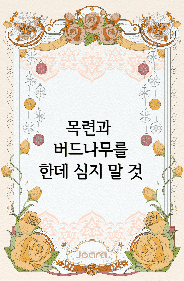 목련과 버드나무를 한데 심지 말 것