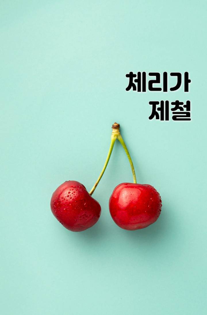 체리가 제철