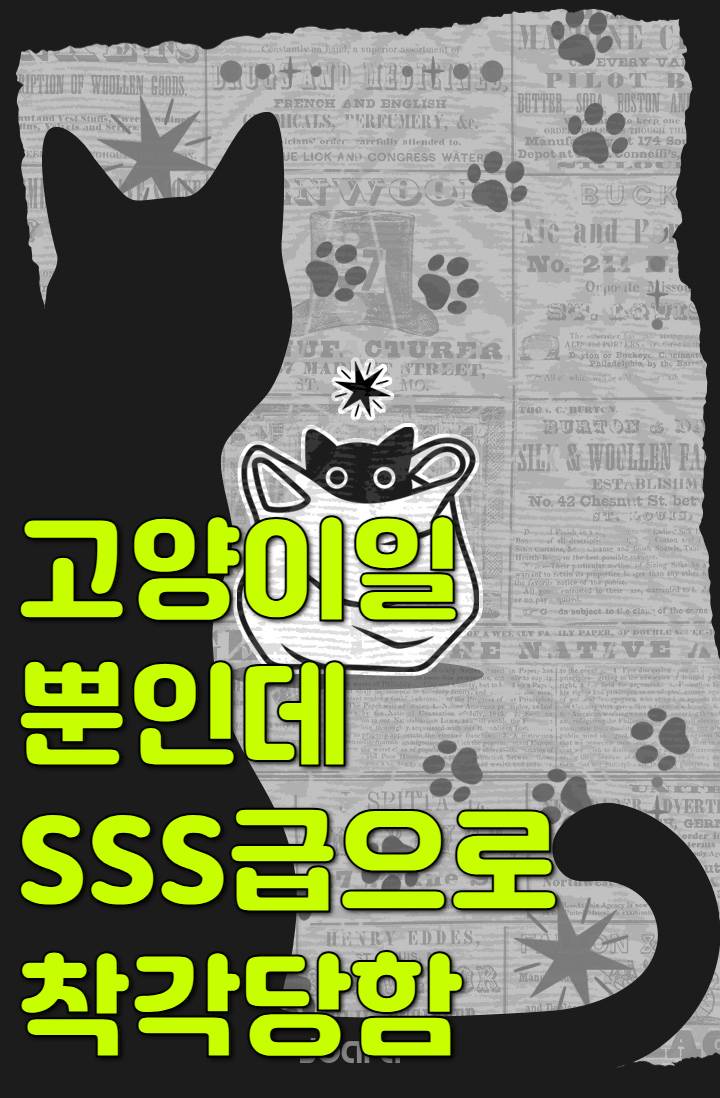 고양이일 뿐인데 SSS급으로 착각 당함