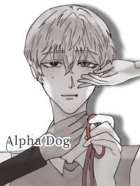 Alpha Dog