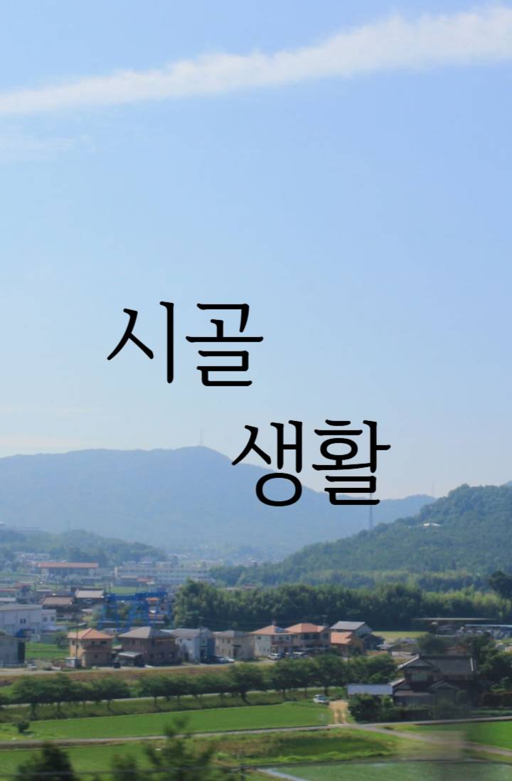 시골생활