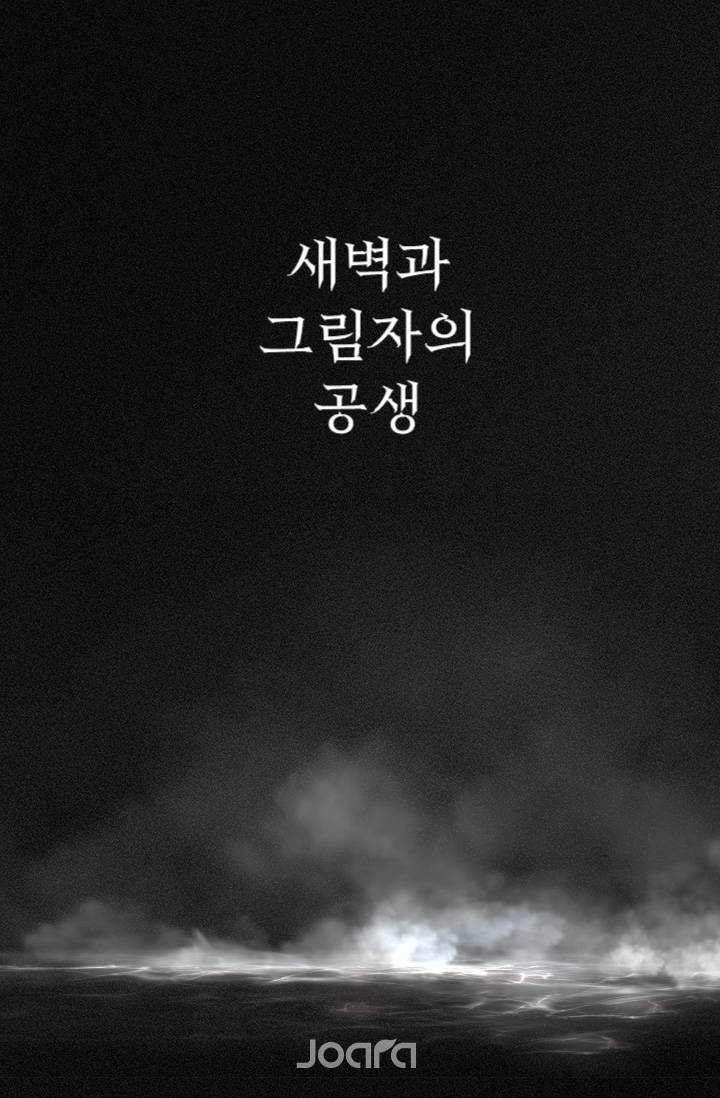 새벽과 그림자의 공생