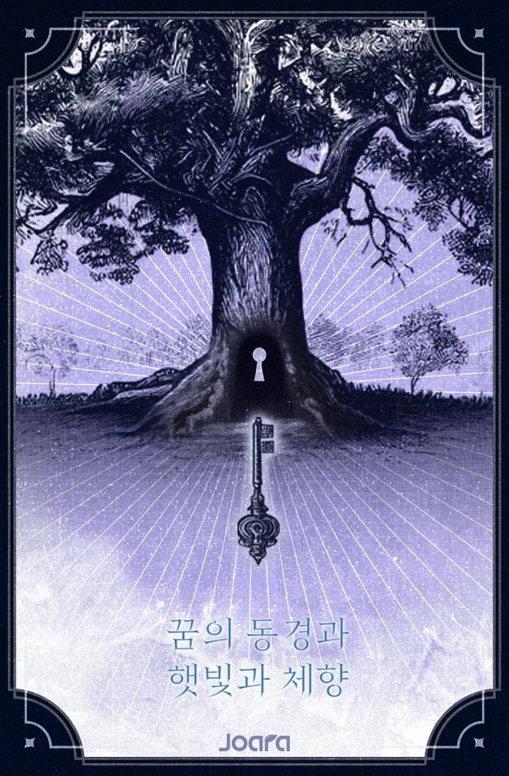 꿈의 동경과 햇빛과 체향