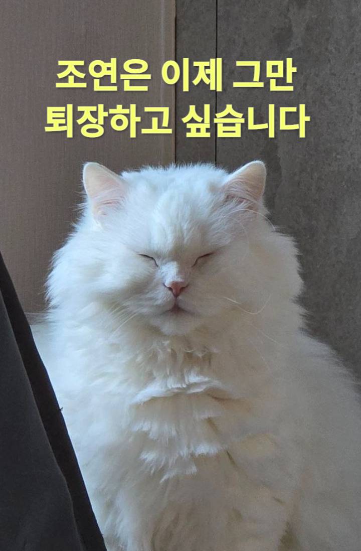조연은 이제 그만 퇴장하고 싶습니다
