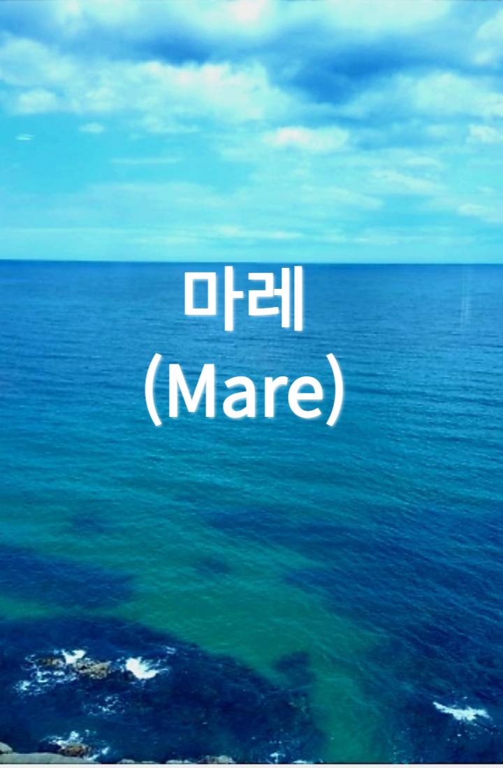 [원피스]마레(Mare)