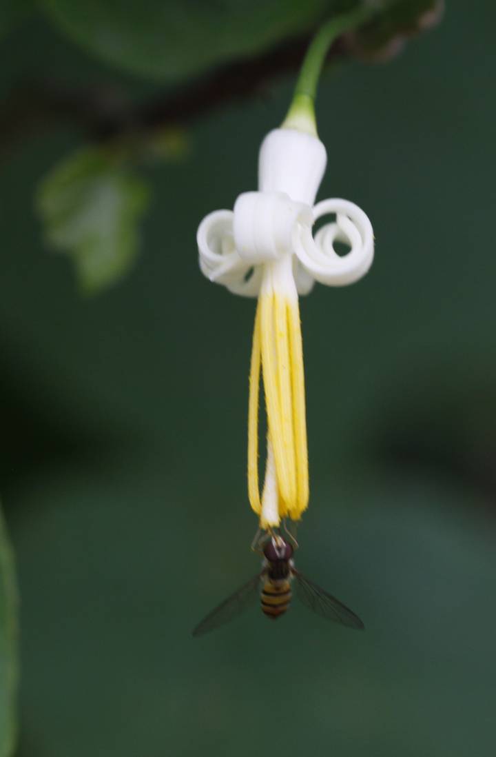 재벌이 된 블랙요원