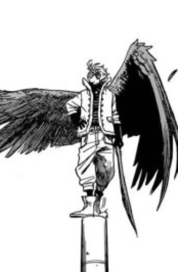 [히로아카] 혁조(赫鳥)