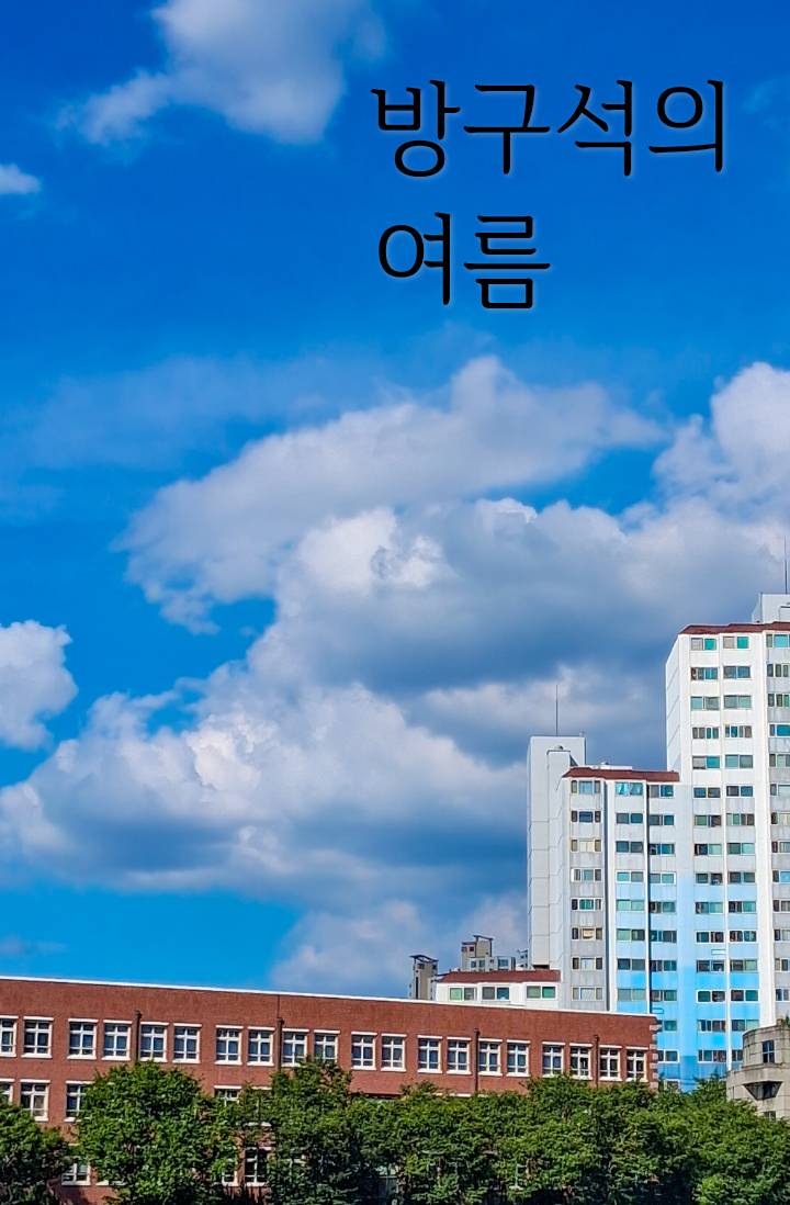방구석의 여름