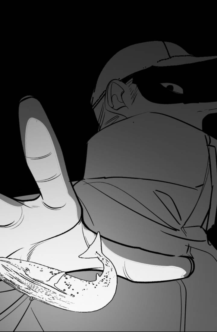 [원피스] 다시, 시작