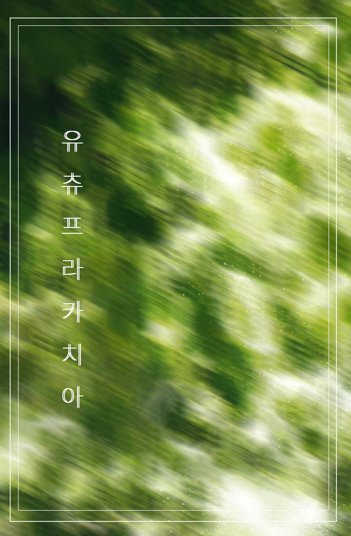 유츄프라카치아