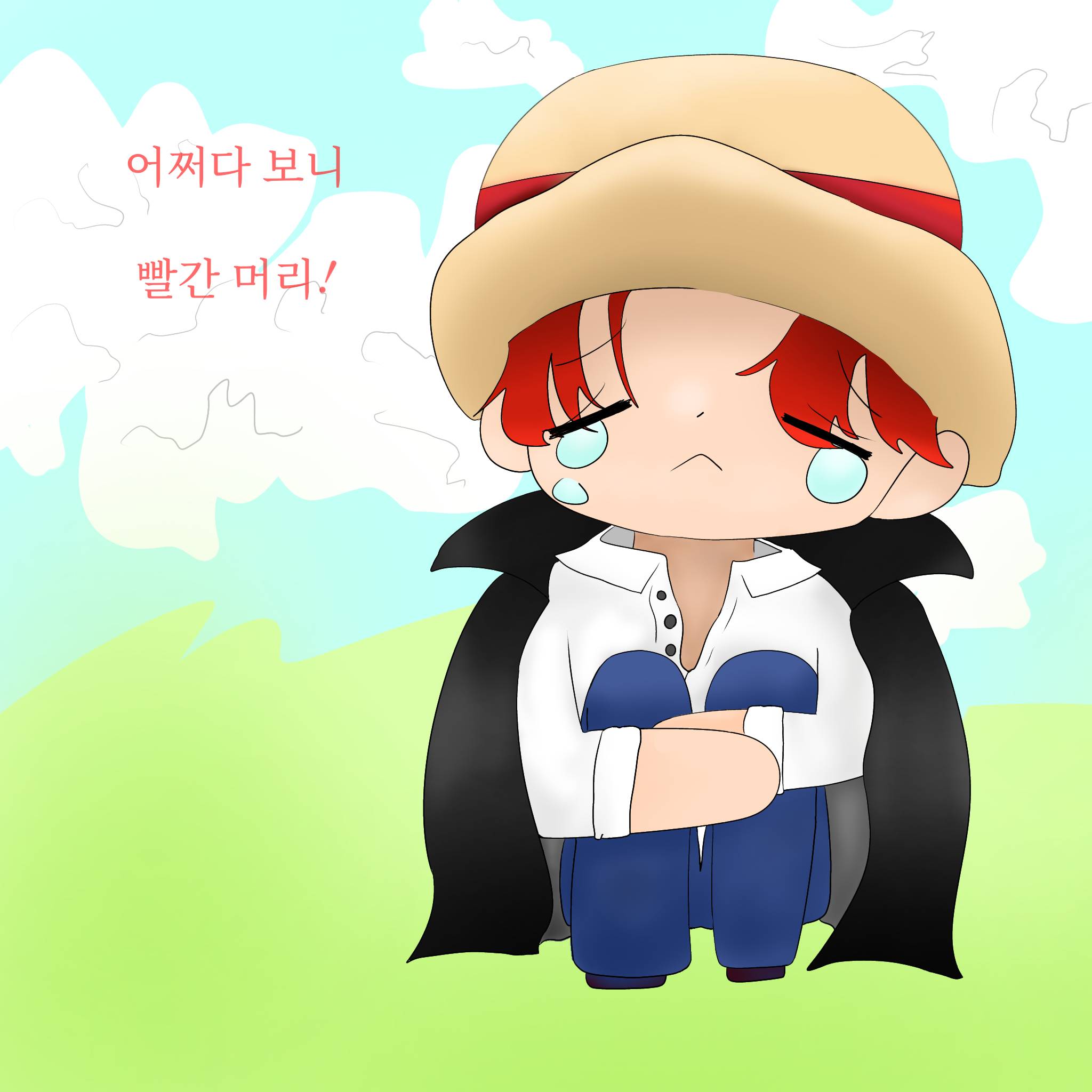 [히로아카/원피스] 어쩌다 보니 빨간 머리