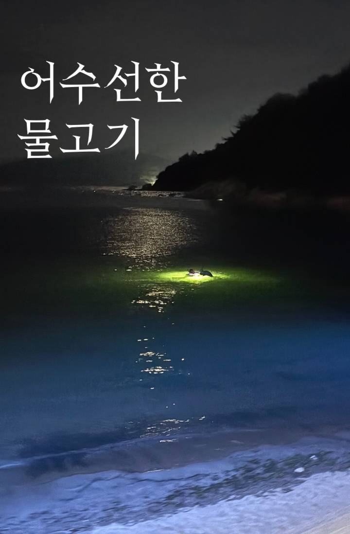 어수선한 물고기
