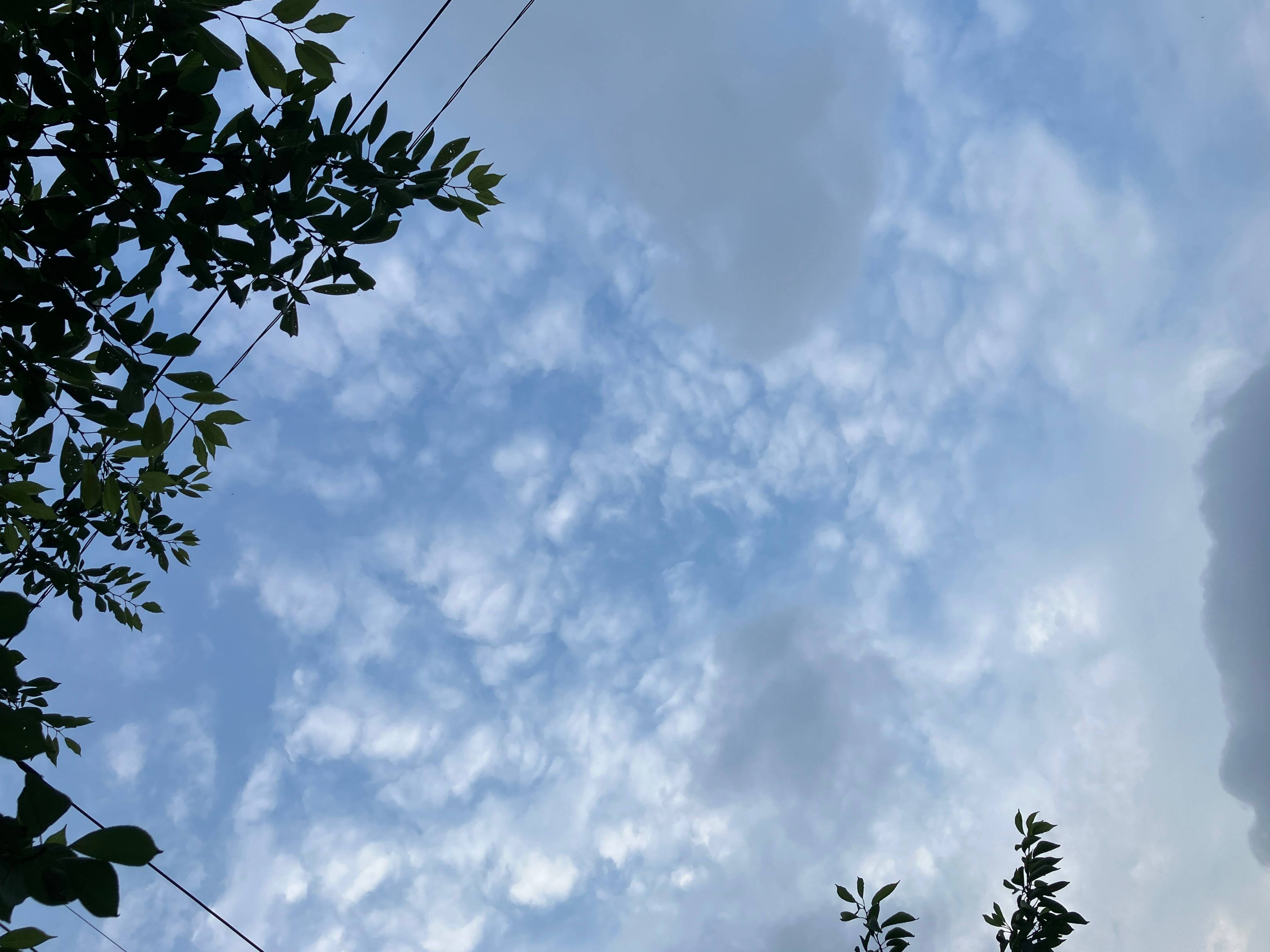 기록