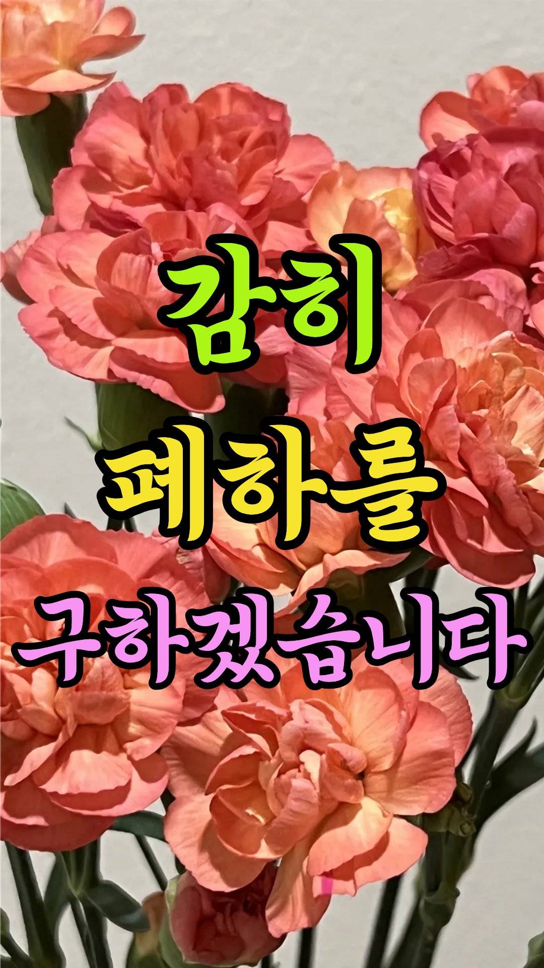 감히 폐하를 구하겠습니다.