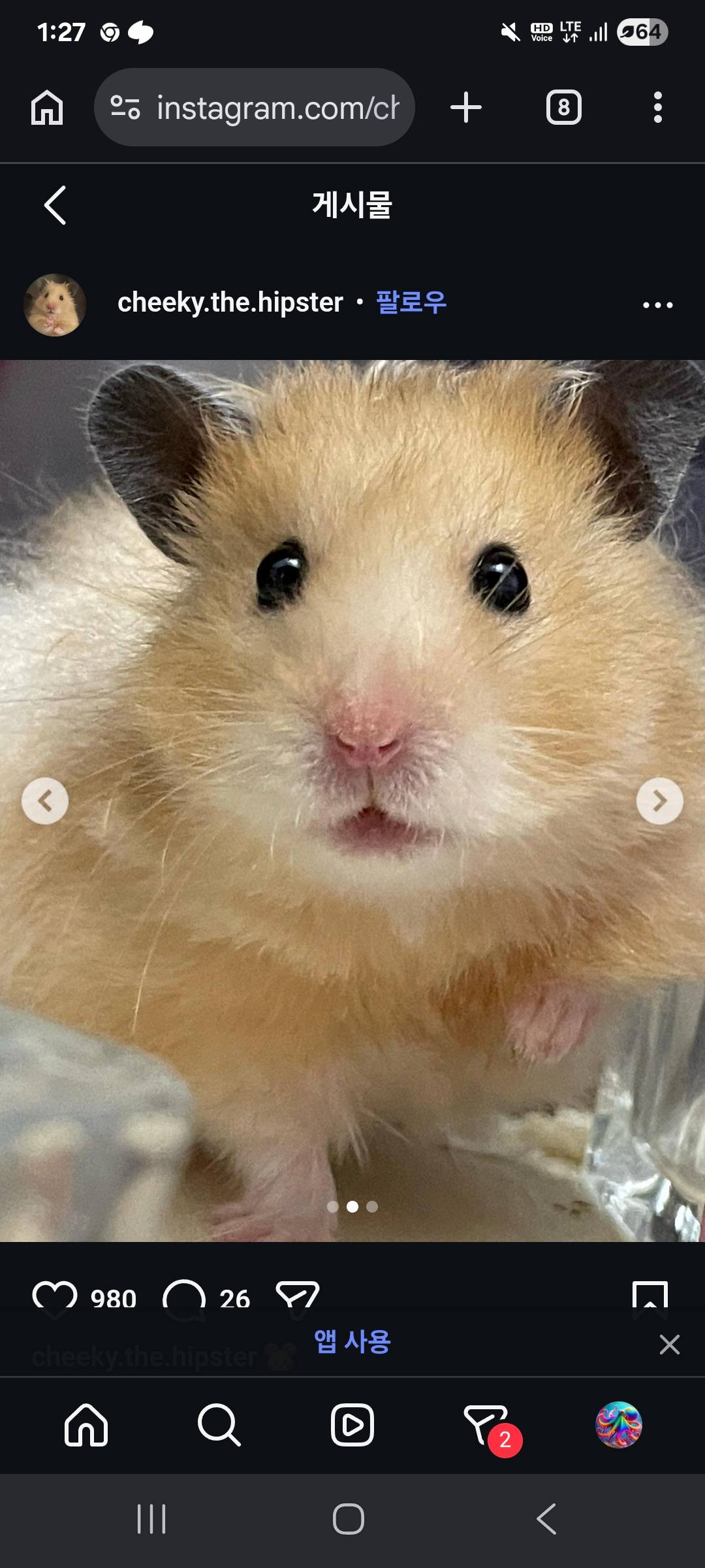 영어