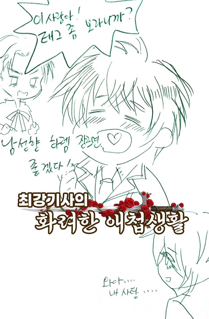 최강기사의 화려한 애첩생활