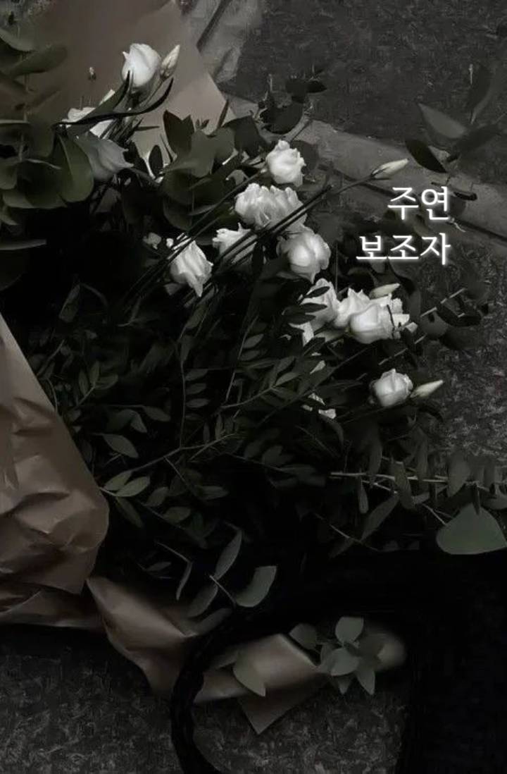 주연 보조자 [ 하이큐 ]