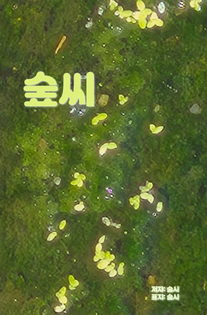 숲씨