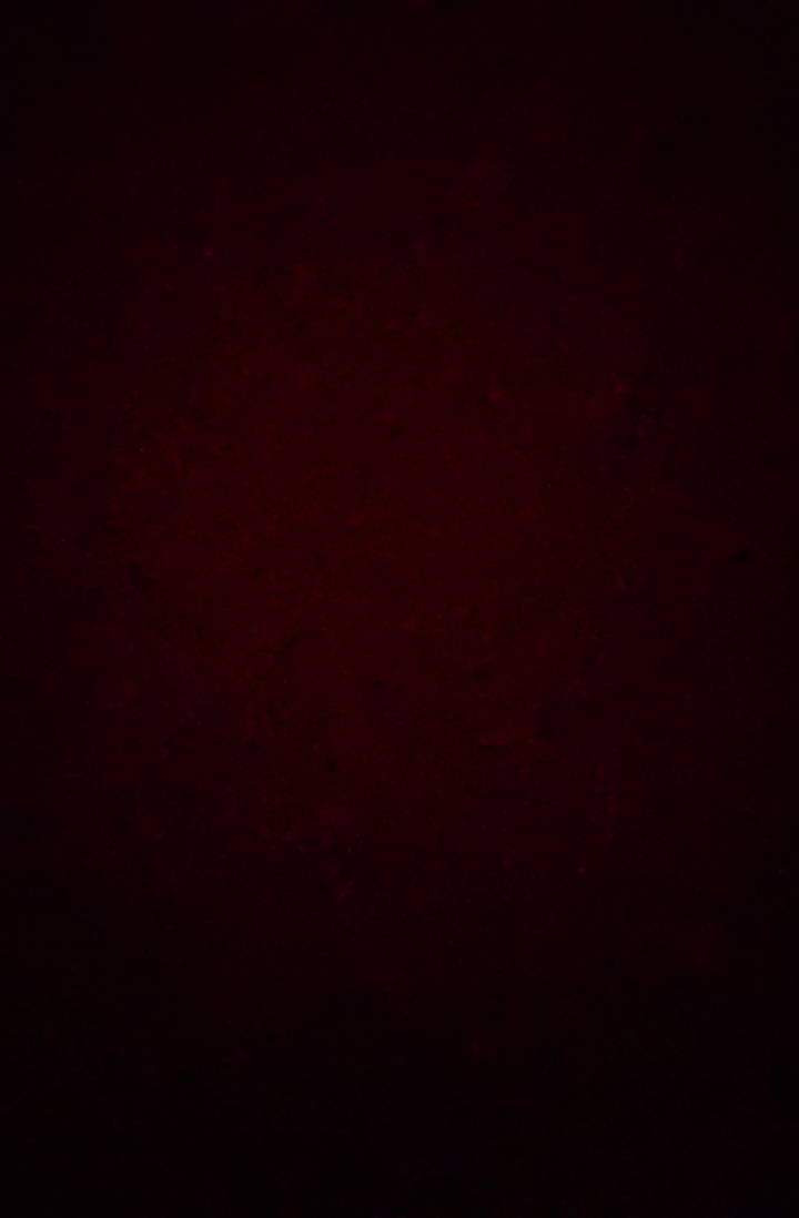 [명탐정코난] 폐기 예정 파일