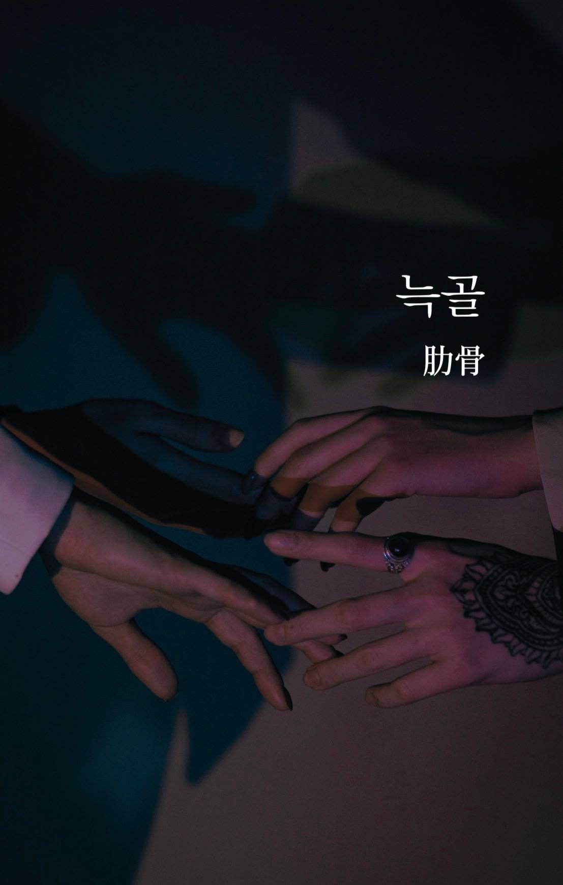 늑골