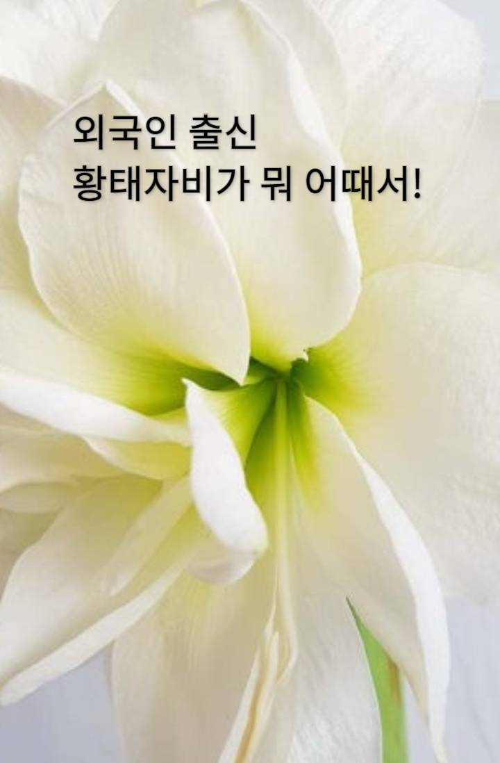 외국인 출신 황태자비가 뭐 어때서!