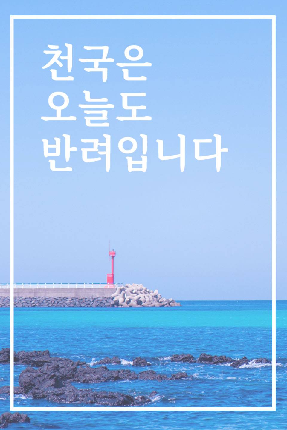 천국은 오늘도 반려입니다