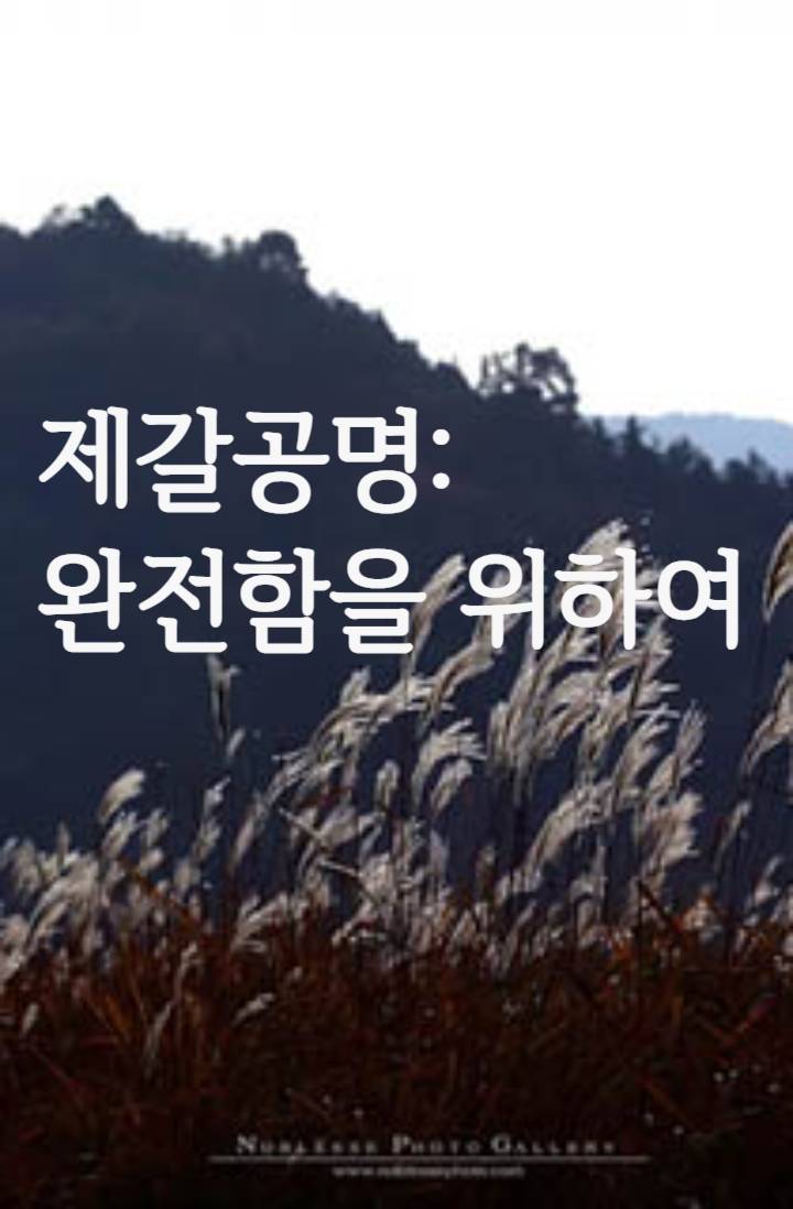 제갈공명: 완전함을 위하여