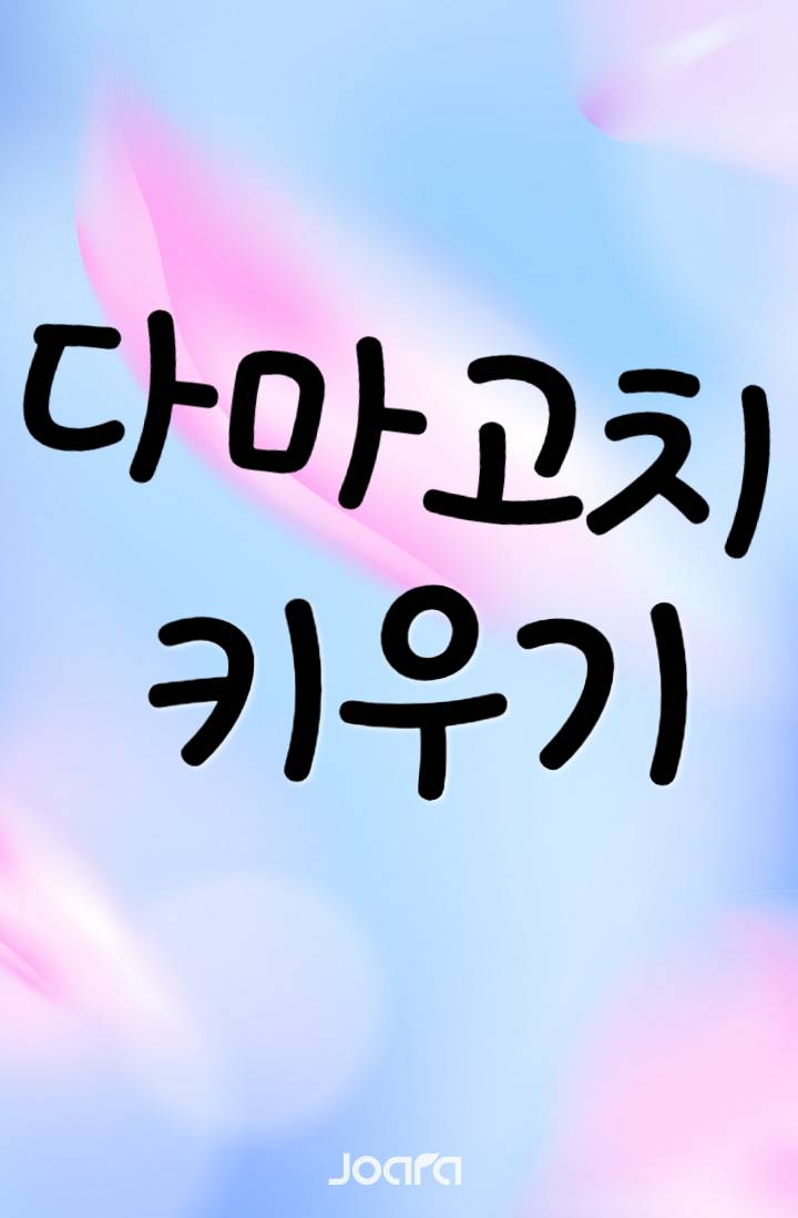 다마고치 키우기!
