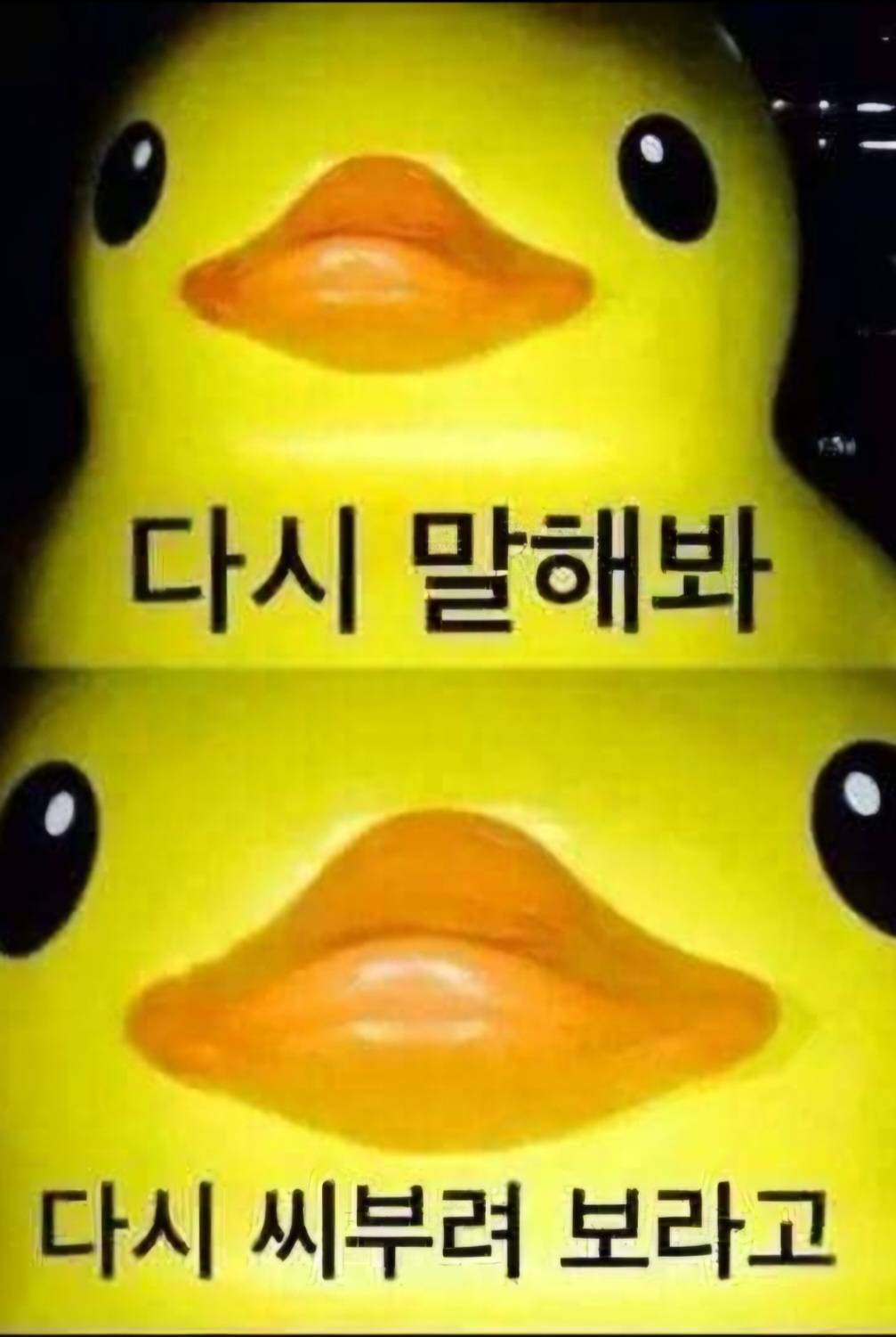 [화산귀환] 매화는 시스템이 피워내지 않습니다만?
