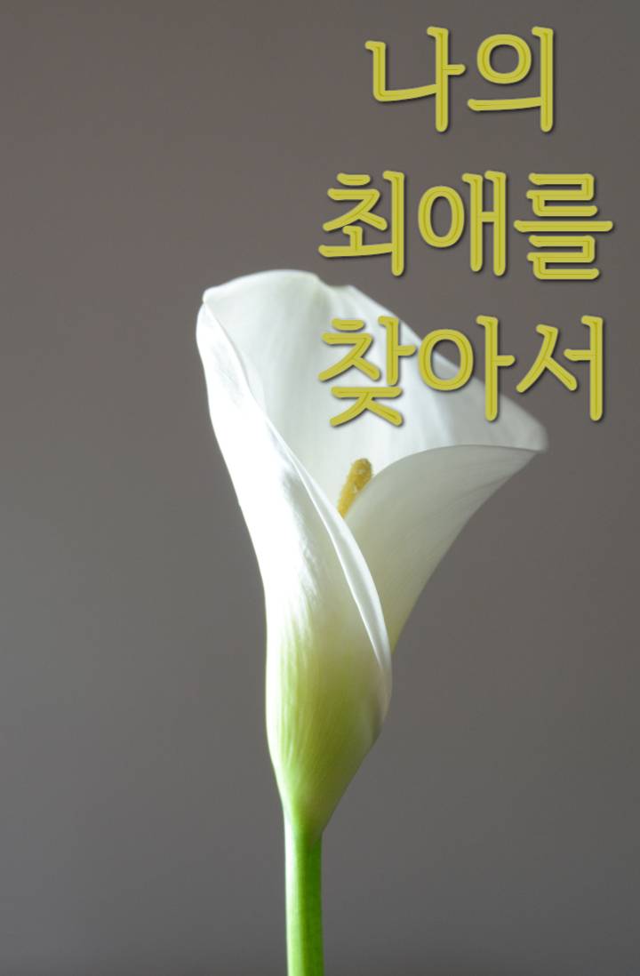 나의 최애를 찾아서
