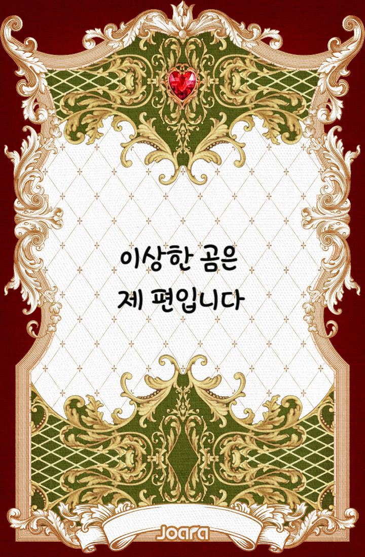 이상한 곰은 제 편입니다