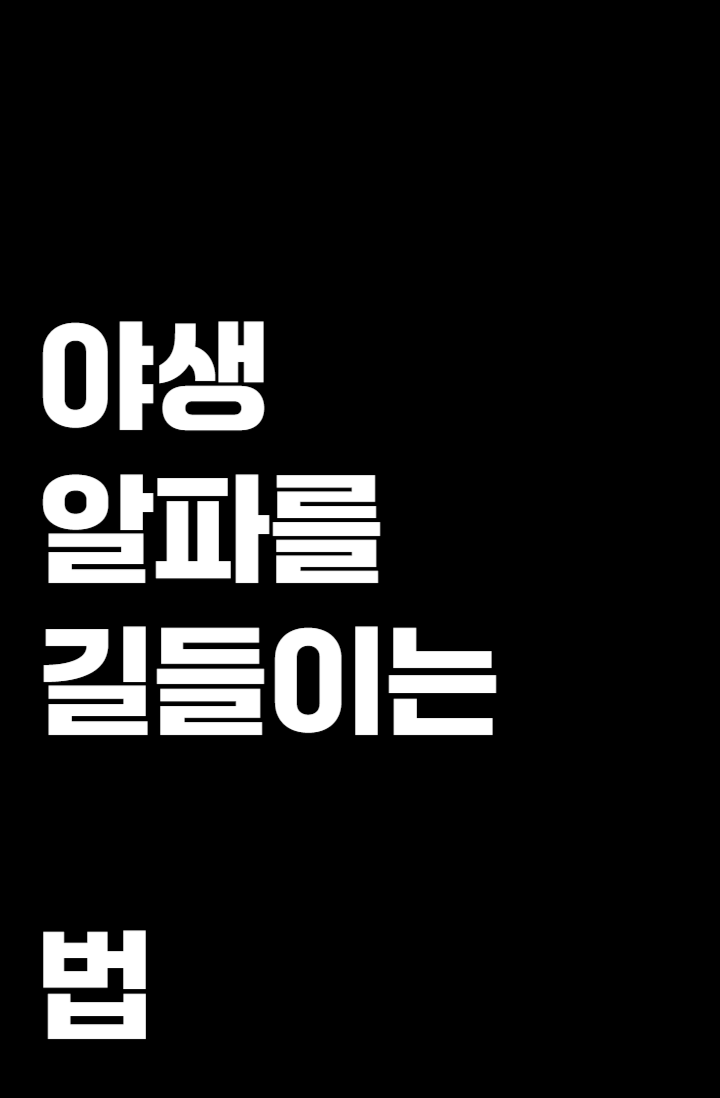야생 알파를 길들이는 법