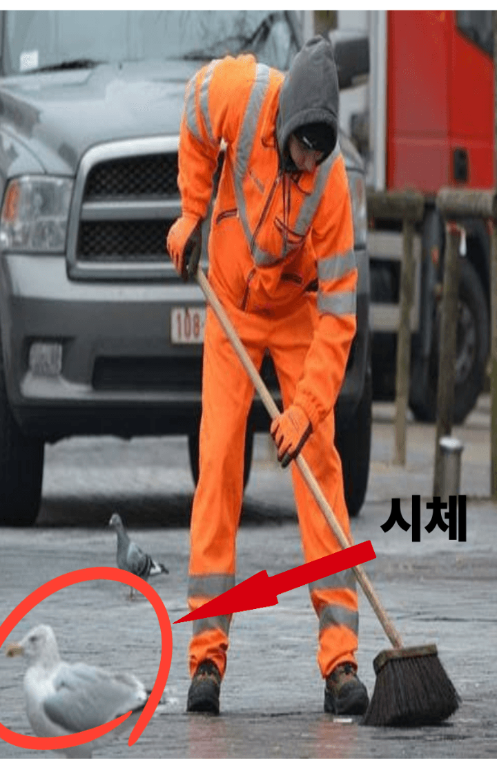 불멸자들의 세상의 시체청소부