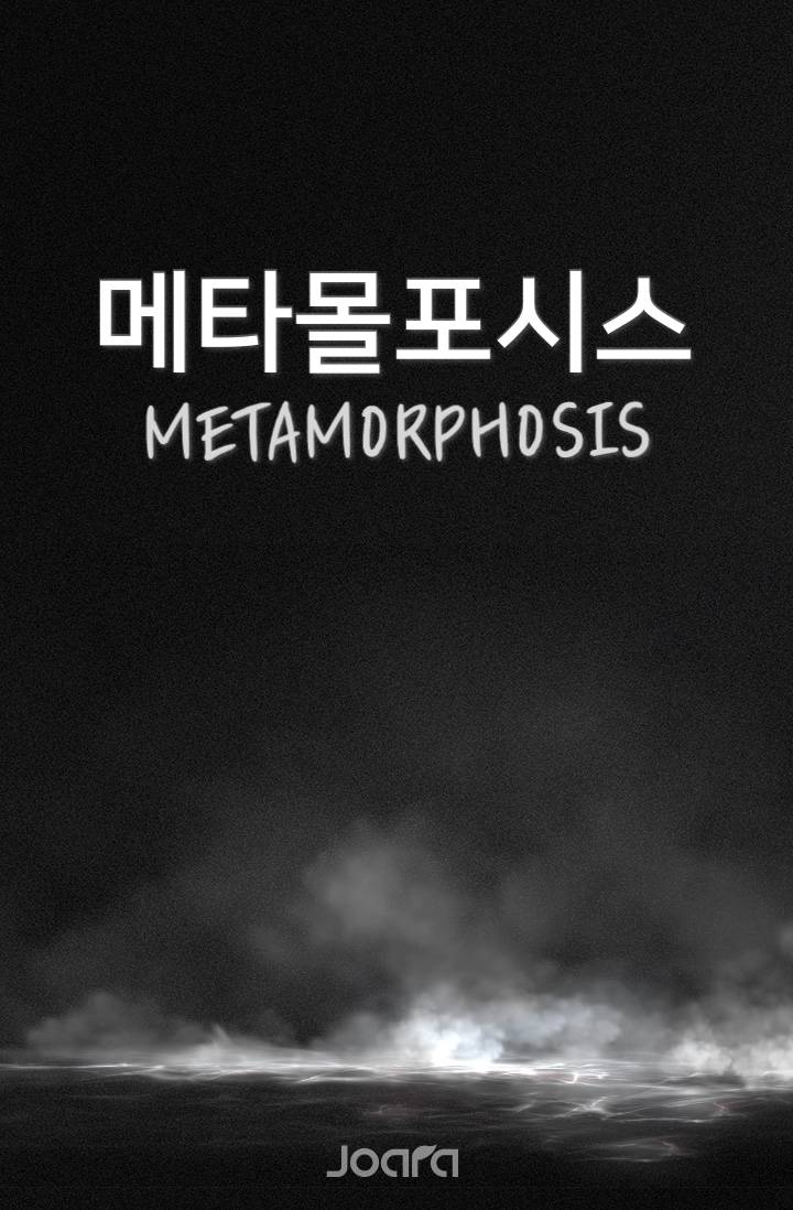 메타몰포시스