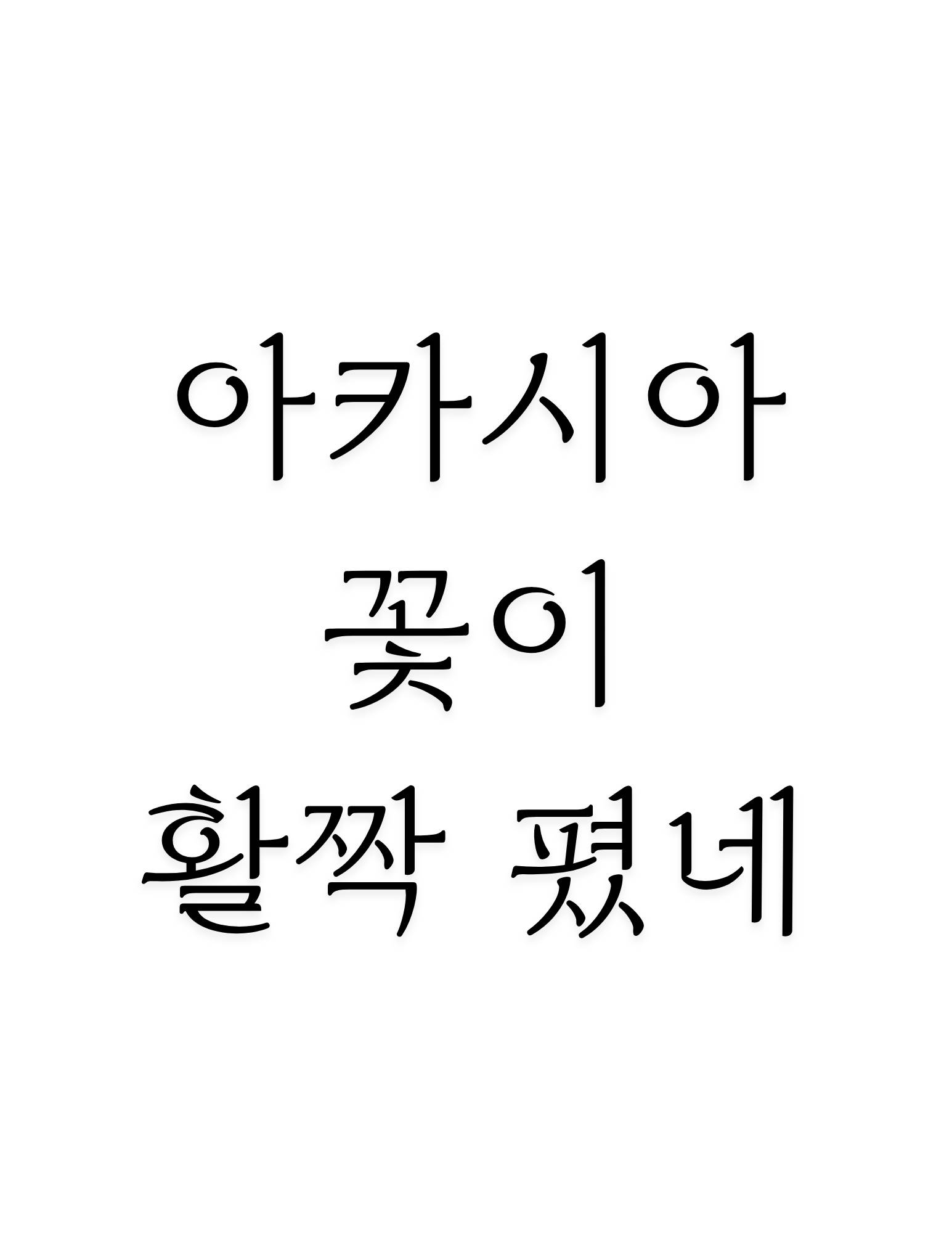 아카시아 꽃이 활짝 폈네