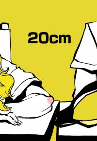 20cm