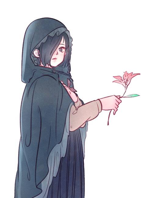 시집 2026