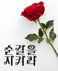 지켜라