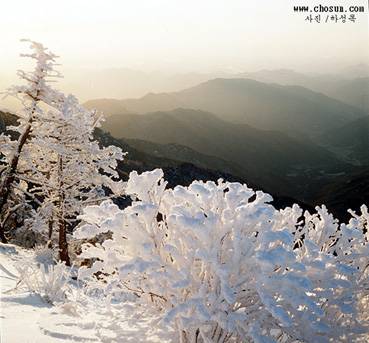 실연 중독증(완결)