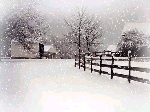 눈(雪)